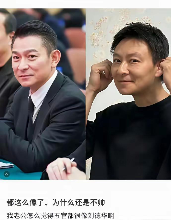 长得这么像刘德华，为啥看起来还是不帅？[what]