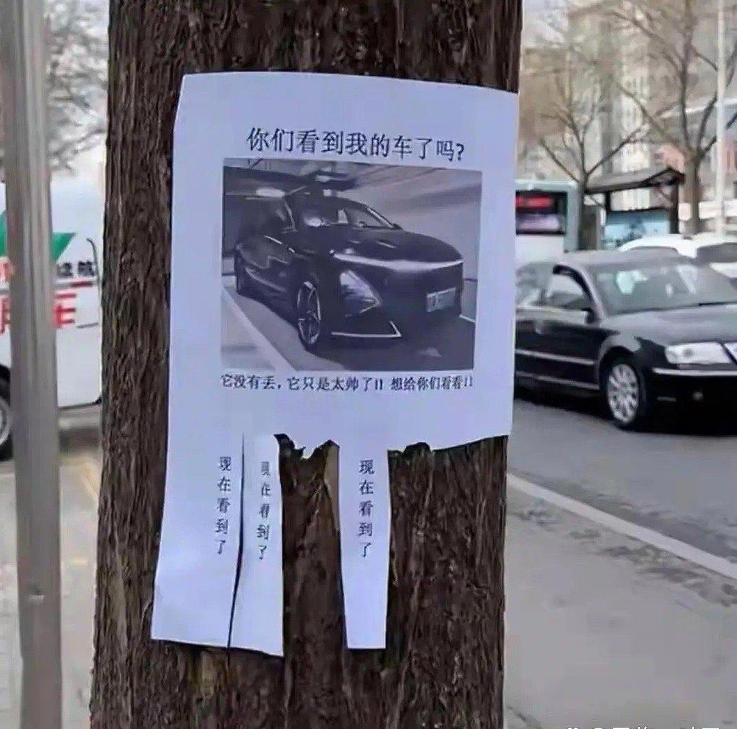 被他装到了，一个逗比的车主。 