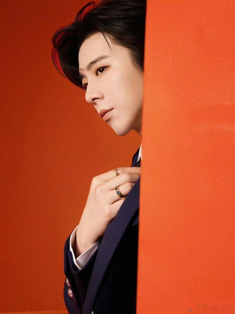 如果一定要选一个内娱生做🌸粉的姐夫，是刘宇宁好还是成毅好？ 