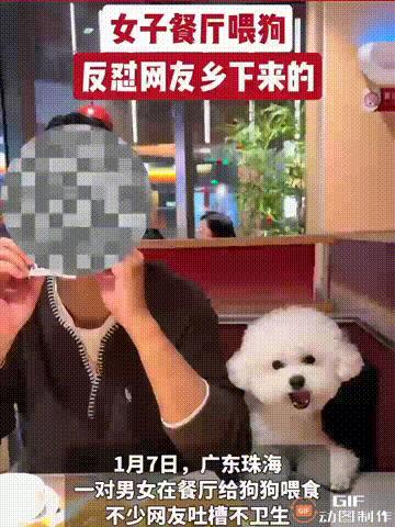 广东珠海一对情侣去餐厅吃饭时，直接把小狗带进去了，而且还用餐厅的餐具给小狗喂食，