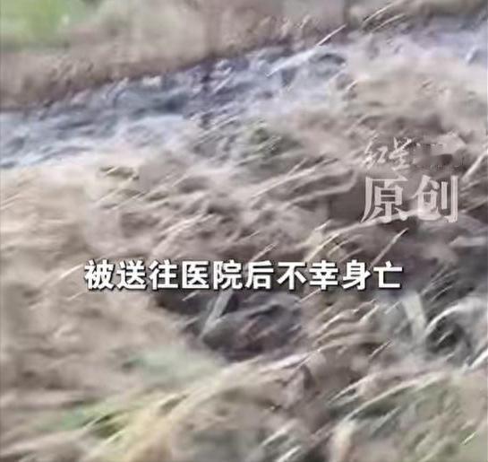 2026年5月5日，安徽颍上县红星镇发生了一起让人痛心的意外。一名丁姓男子带着9