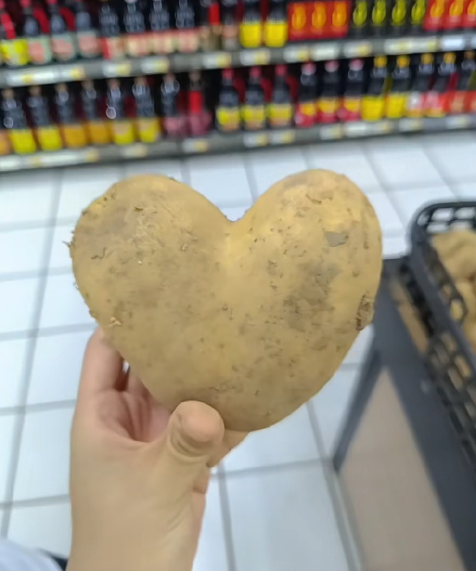 难道这就是爱豆 ​​​