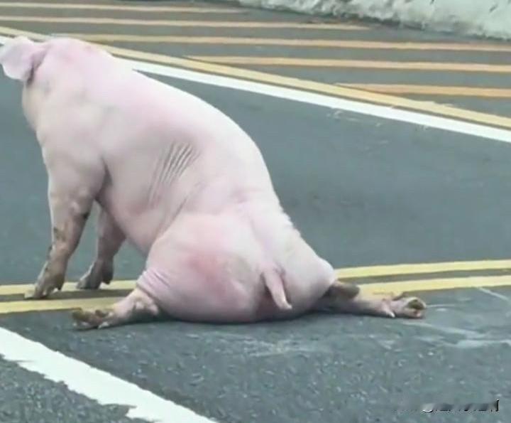 在足疗店做足疗，跟足疗技师一位姊妹聊的很嗨。
与其说是去做足疗还不如说去拉呱。