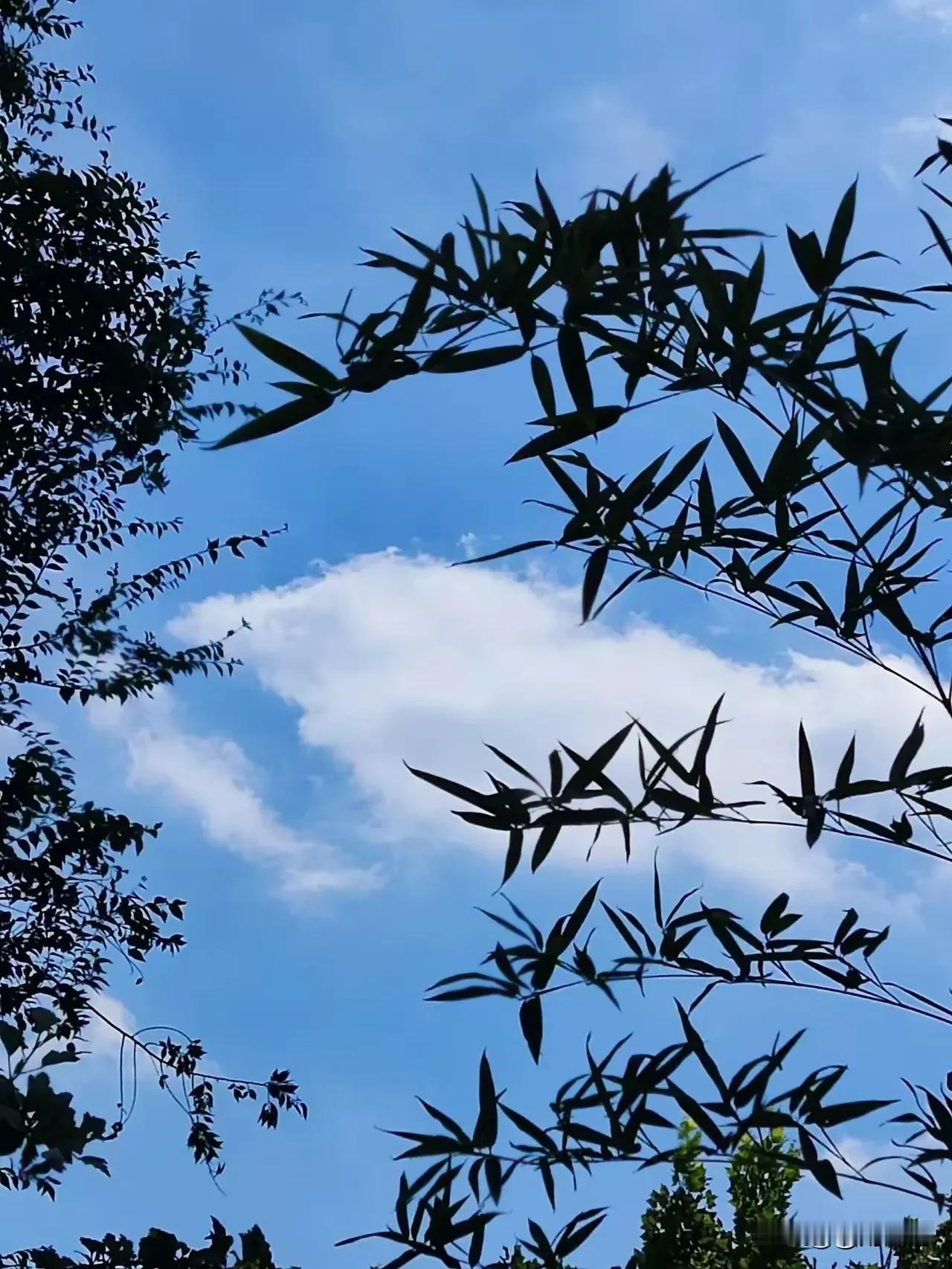 学习与思考
（2024年9月4日）
无涯学海苦作舟，勤力研读老未休。
古卷青灯长