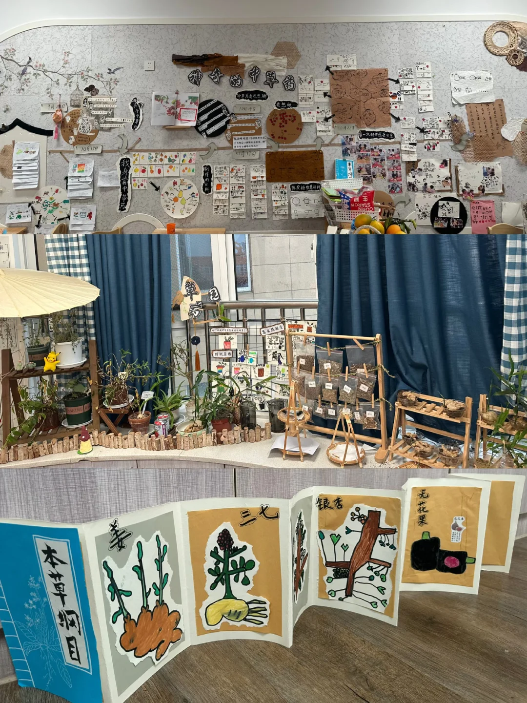 幼儿园中草药班本环境创设、主题墙脉络