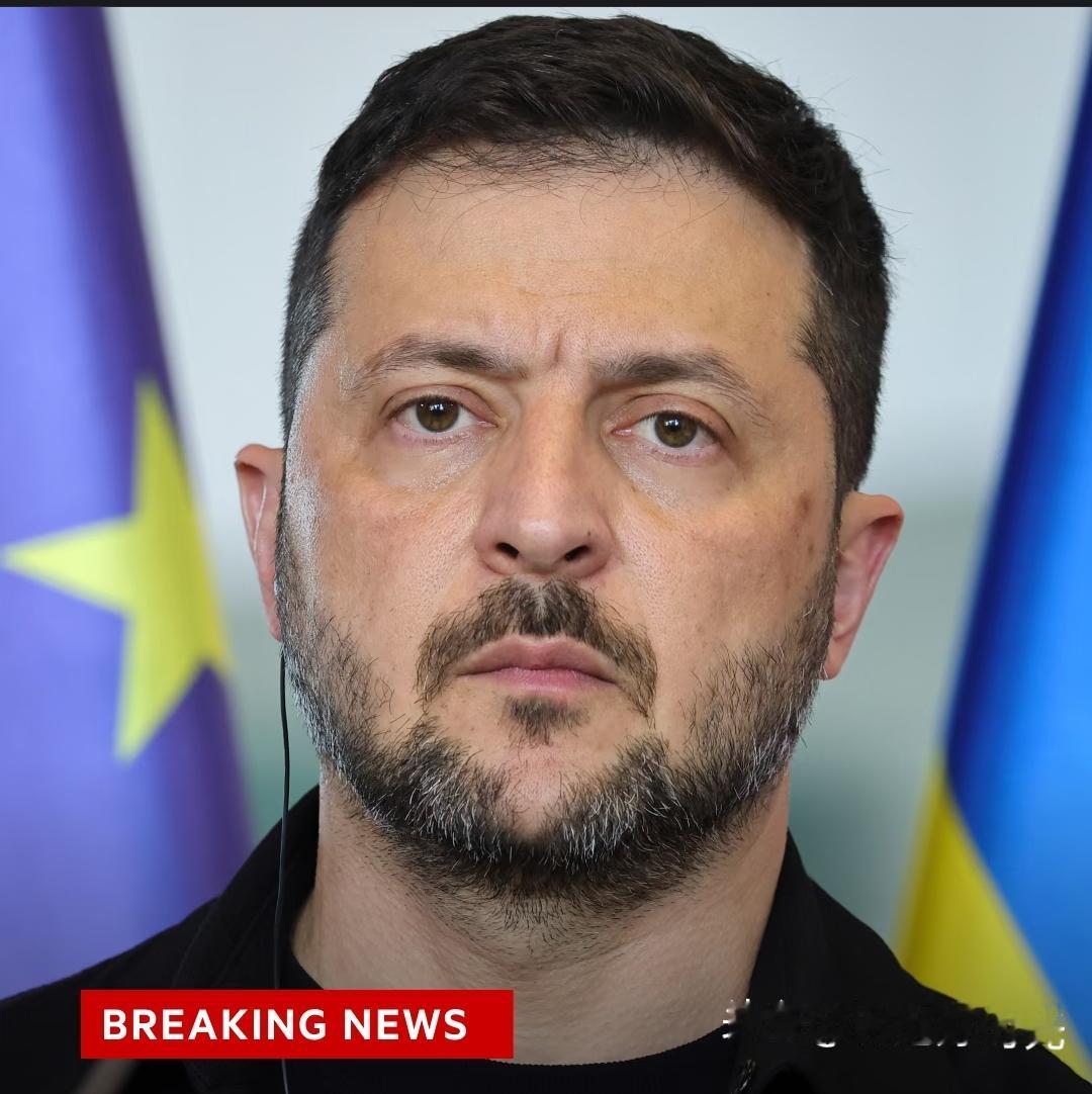 乌克兰入约梦碎！北约不敢接，泽连斯基无奈退而求其次
 
泽连斯基一心想带乌克兰加