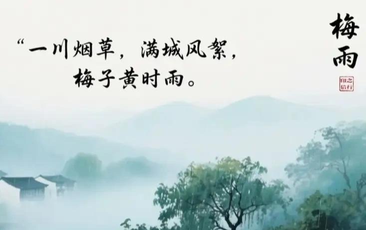 七律.梅雨

一川烟草絮纷飞，梅子黄时晴日违。
温雨柔风生夏梦，稠云浓雾送君归。