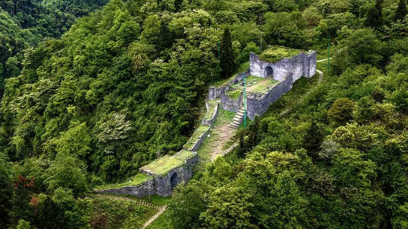 马奇诺防线的目的，便是迫使德军只能绕道比利时，英法联军的主力同样部署在比利时方向