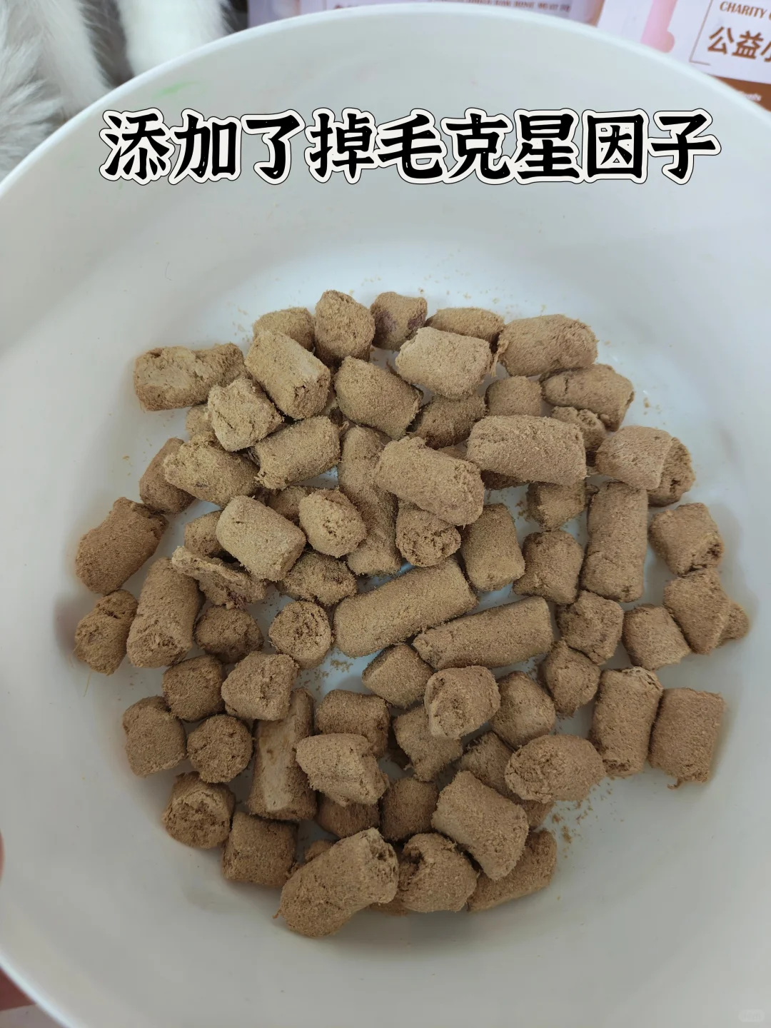 厂花小姐也太卷了吧~