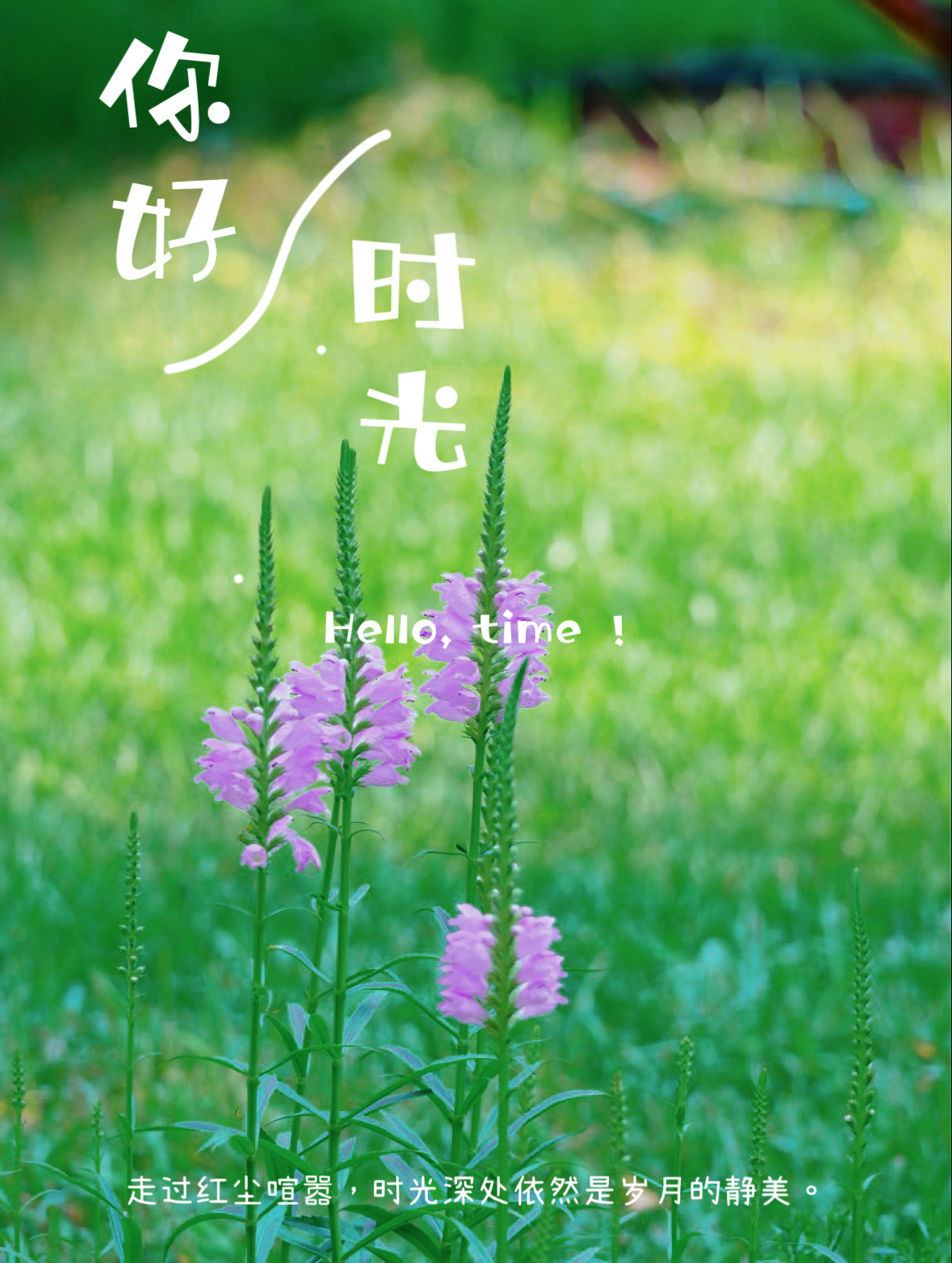 喜欢的事要慢慢做，喜欢的生活要悄悄努力，生活会像日出越来越好，元气满满的一天又开