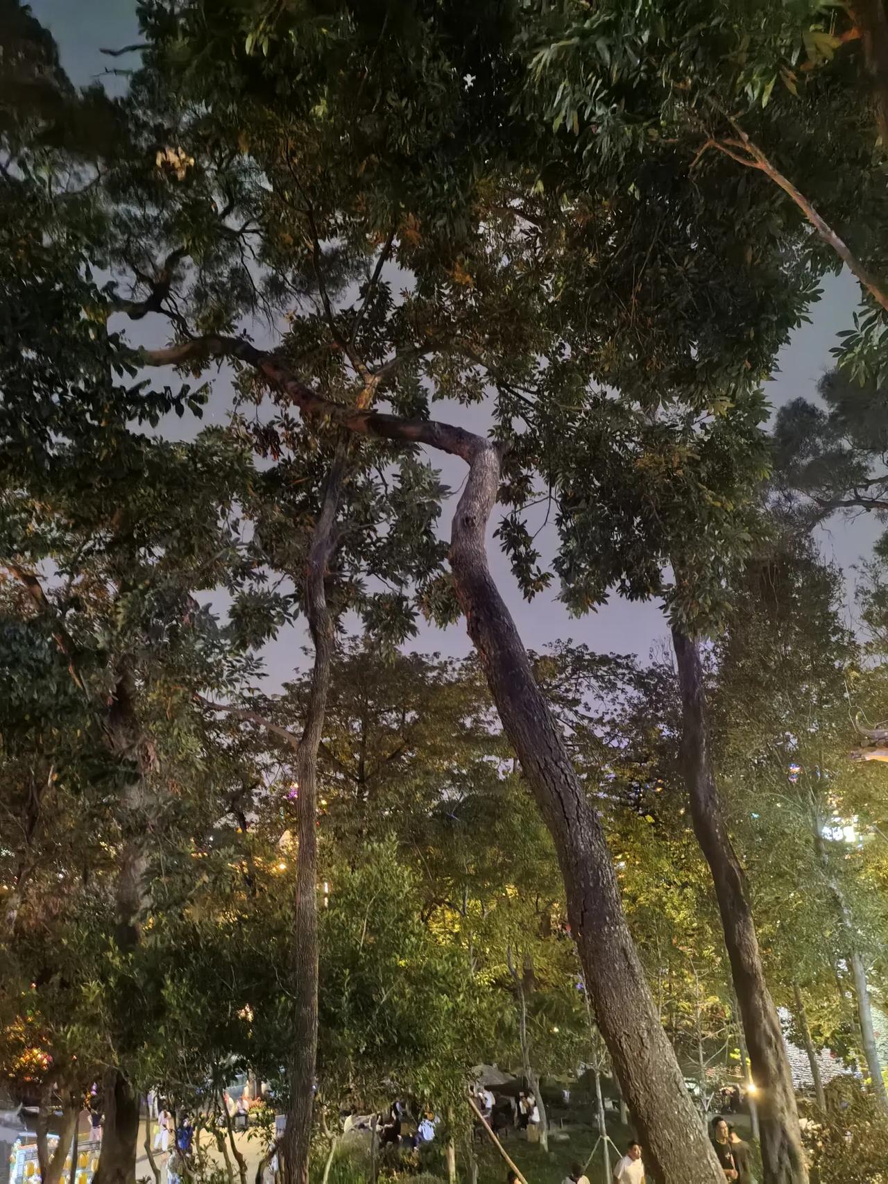 时间是亳不留情的，它真使人在自己制造的镜子里照见自己的真相！
——季羡林
我的真