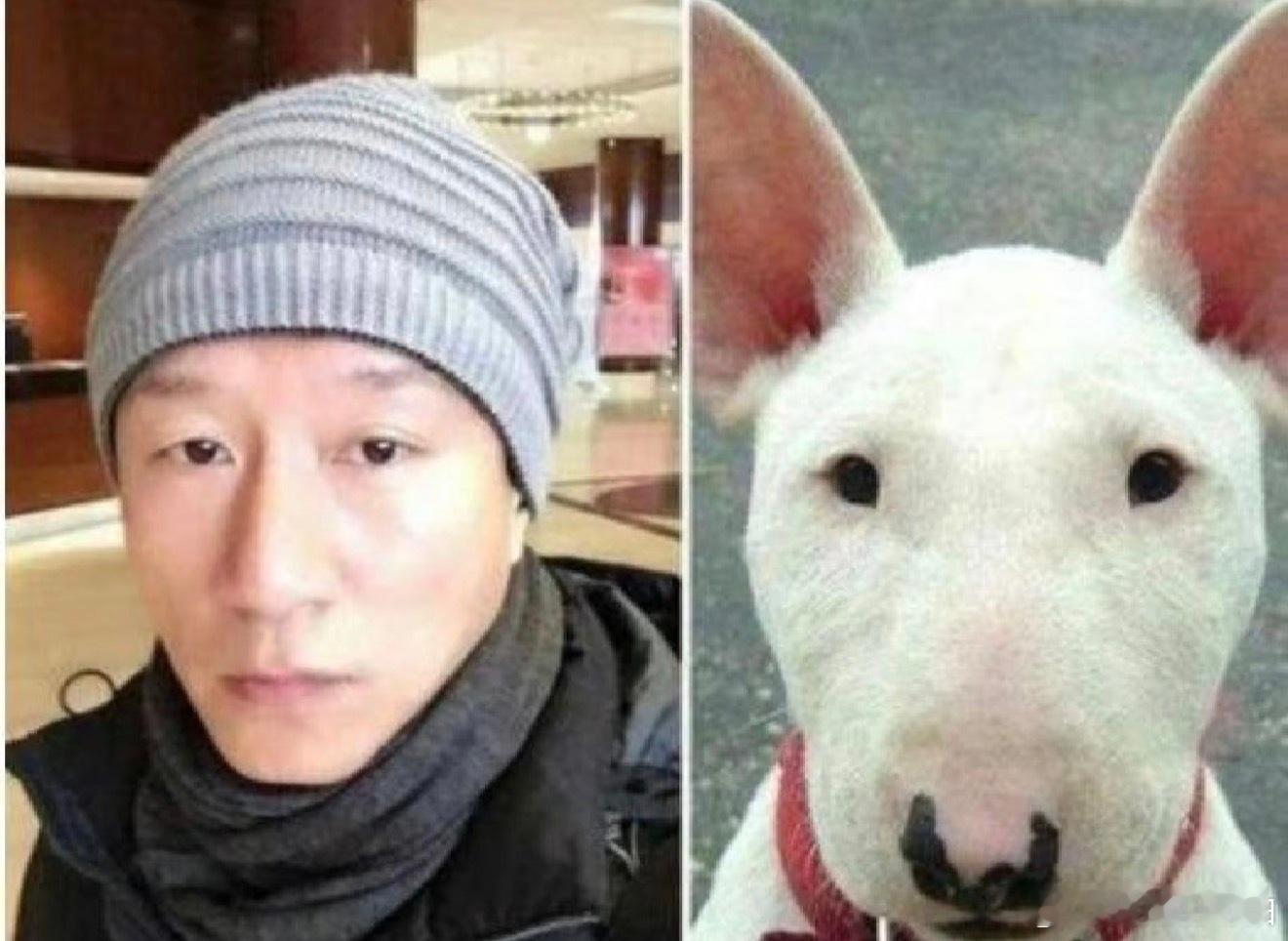 孙红雷版世另我牛头梗撞脸已经是过去式了，现在连素人都撞脸了孙红雷连夜关闭了人脸支