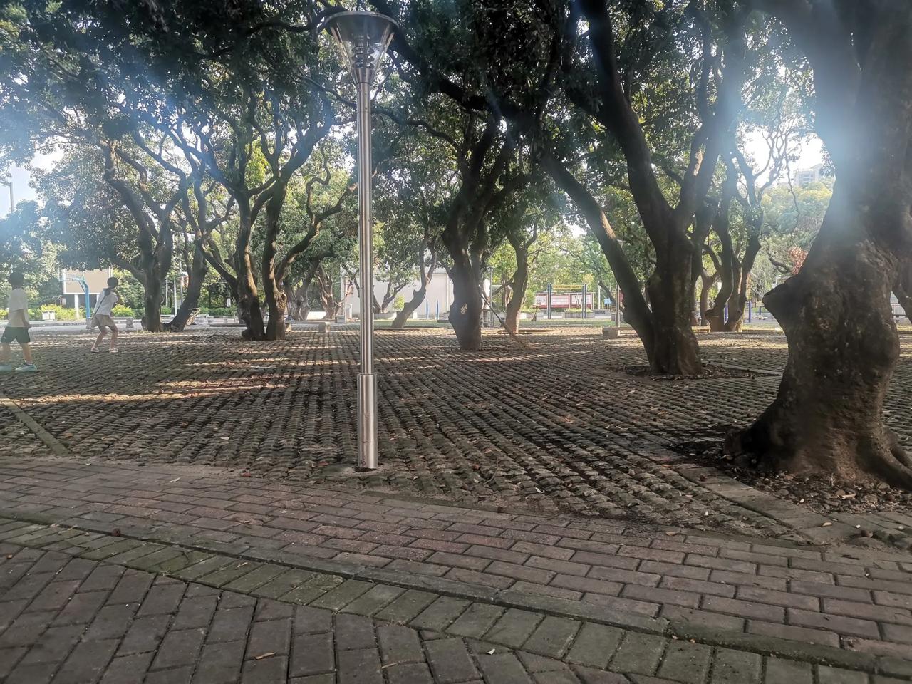 到底是在农村当老师好还是在县城好？看很多网友说他们当地很多乡镇老师都不愿意考试进