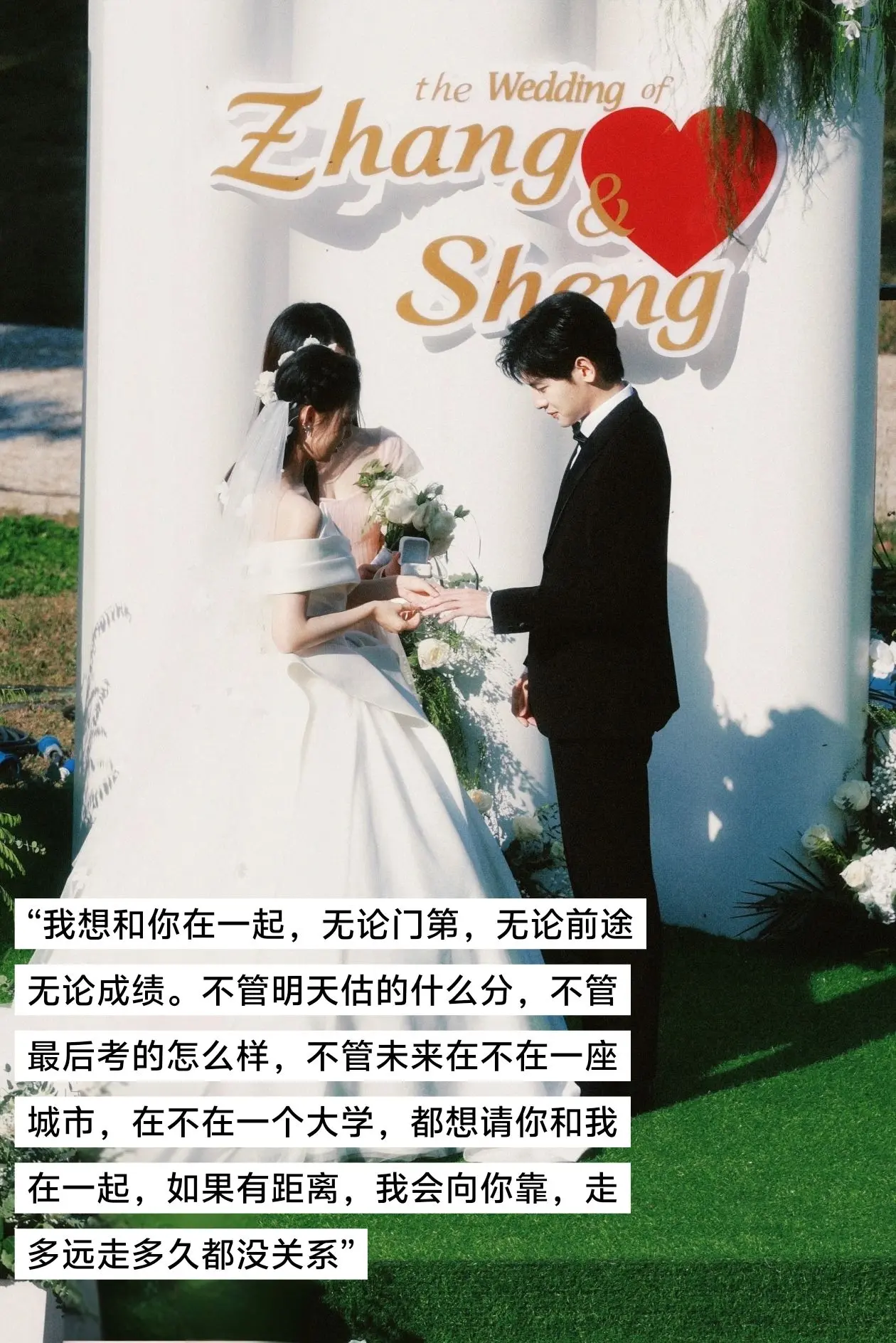 “南理的香樟，是阿澍耍赖皮”吴施乐爱情