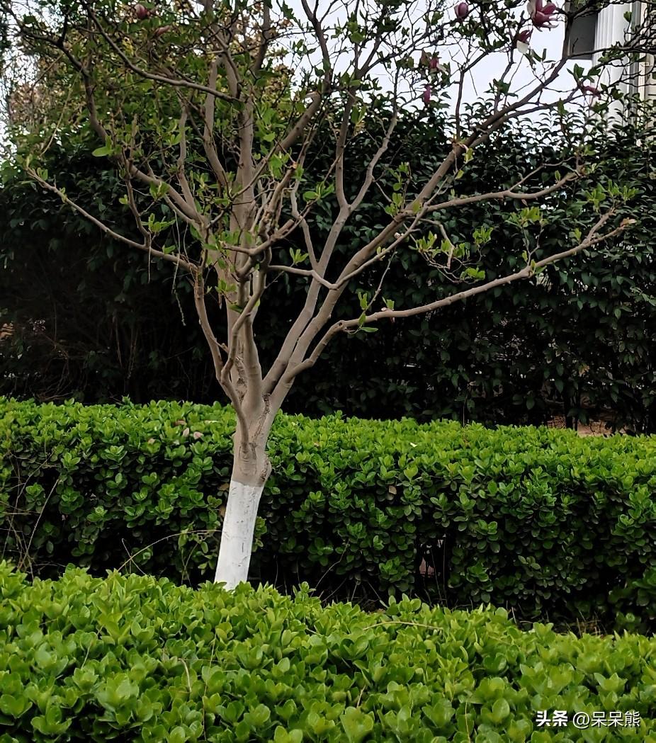 生气，本来就是要工作又要弄孩子，她光顾她自己不顾家。

白天要上班忙工作，下班回