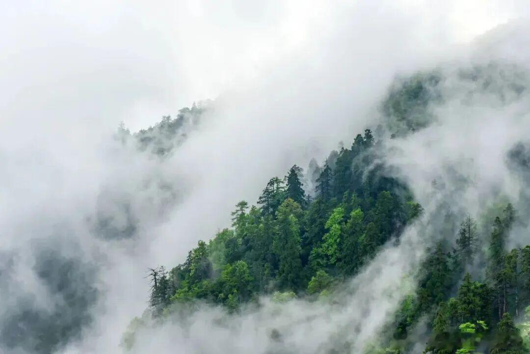 杭州临安藏着 22℃清凉秘境，天目山脉自带降温 buff，玩水、徒步、星空露营一