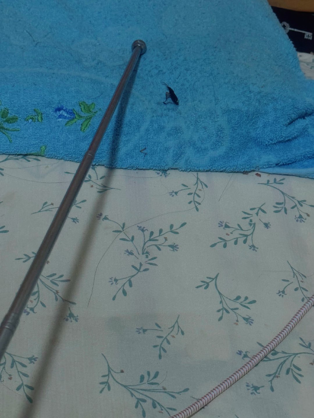 hyh杆子救了我一命 