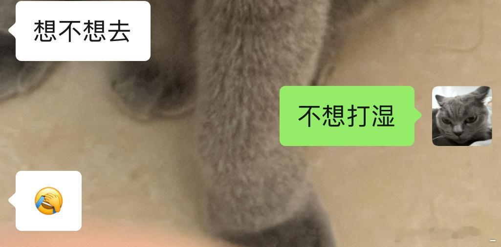 分享图片 