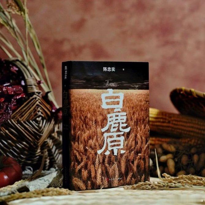 文学汇 文萃丨白嘉轩后来引以为豪壮的是一生里娶过七房女人。娶头房媳妇时他刚刚过十
