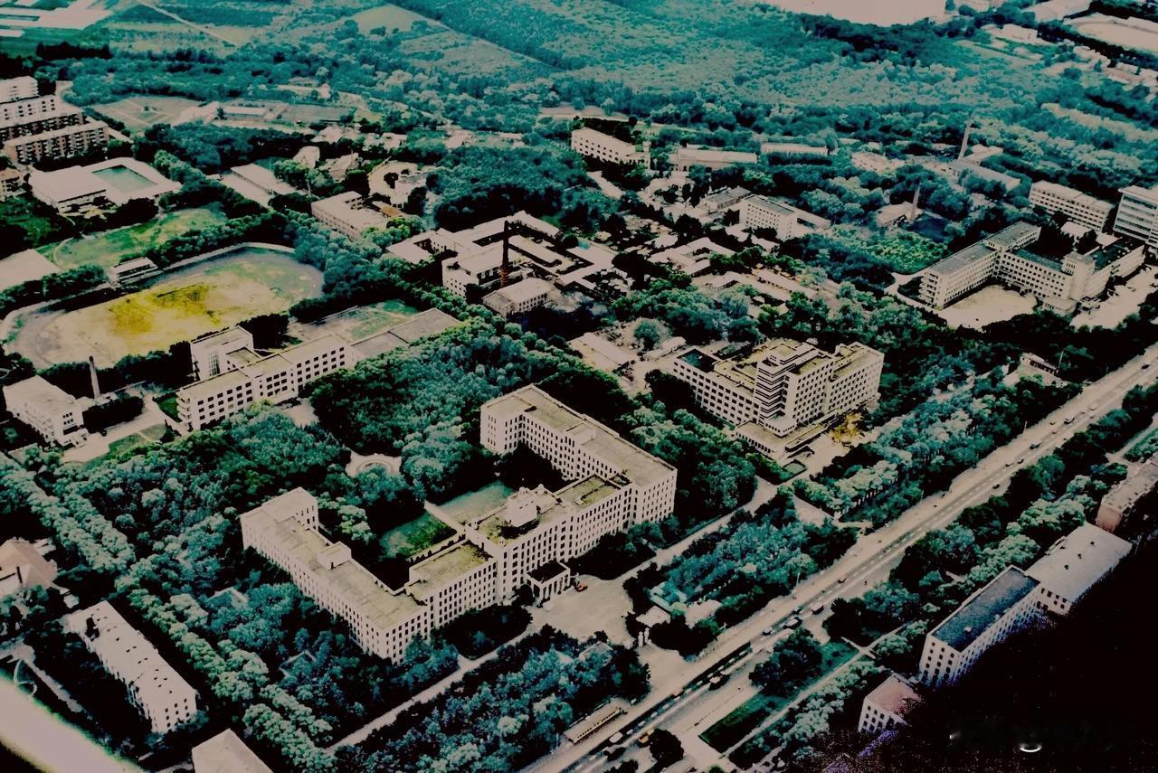 没有扩招前的东北林业大学