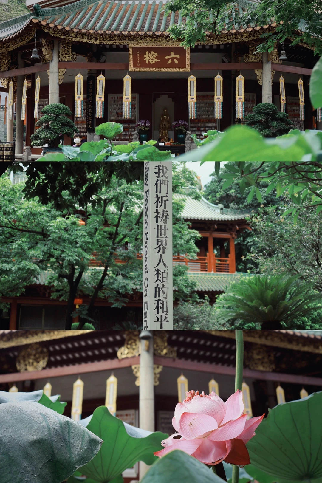 广州六榕寺 「我们祈祷世界人类的和平」