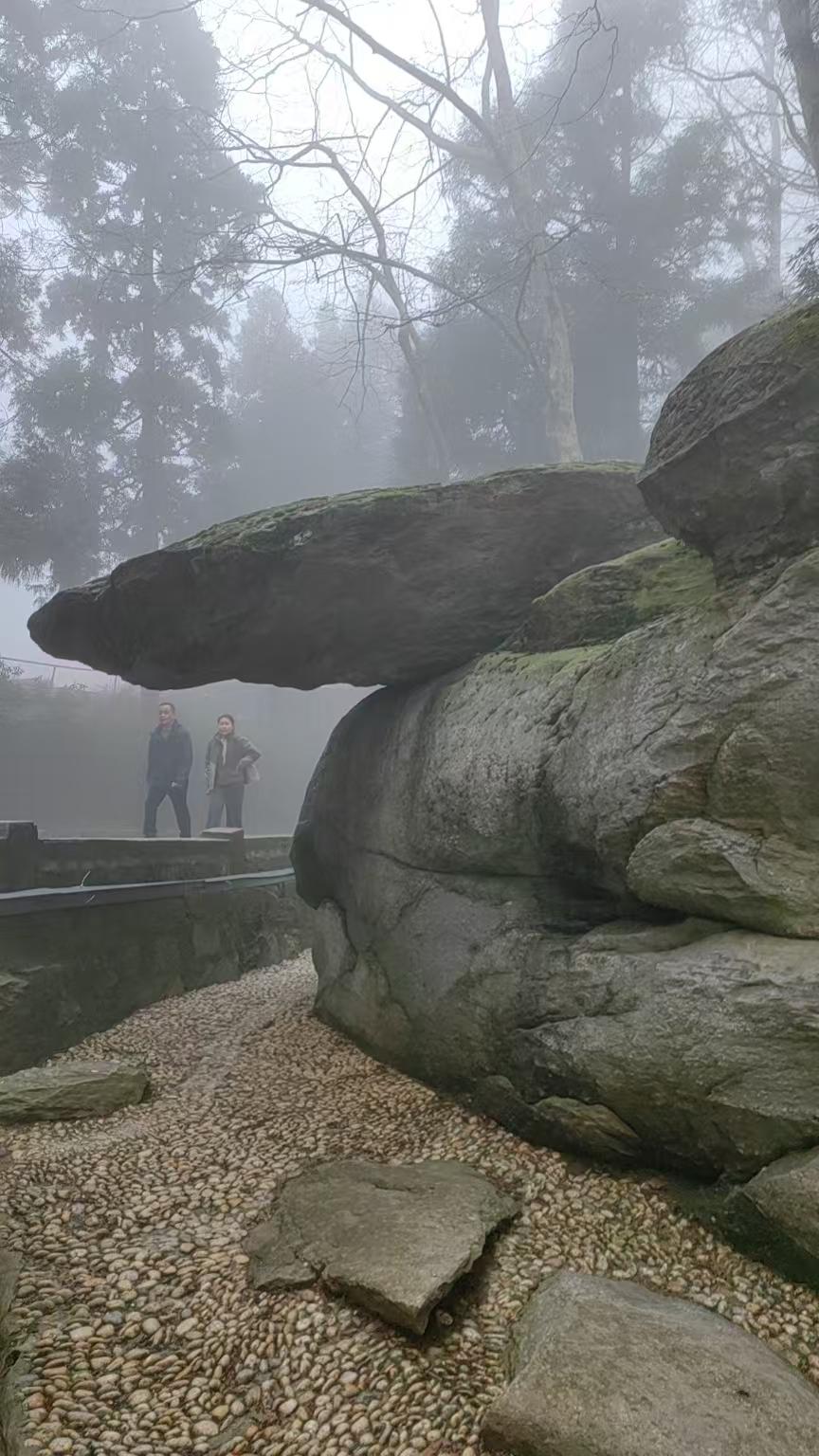 《新生传染病的特殊性》
病原体第一次侵犯人类而引发的传染病，即新生传染病，100