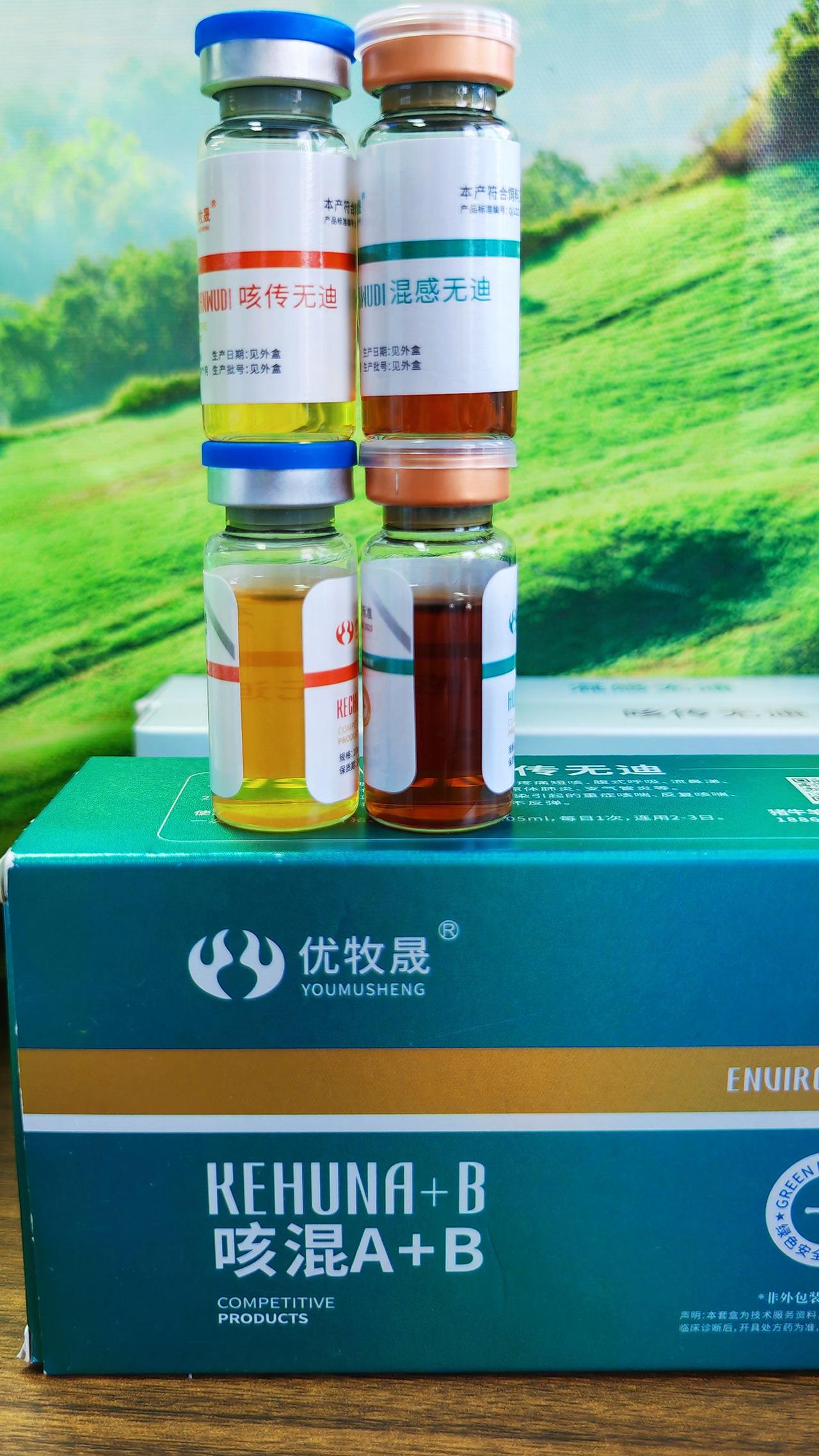 养羊人 农村养羊 牛羊养殖