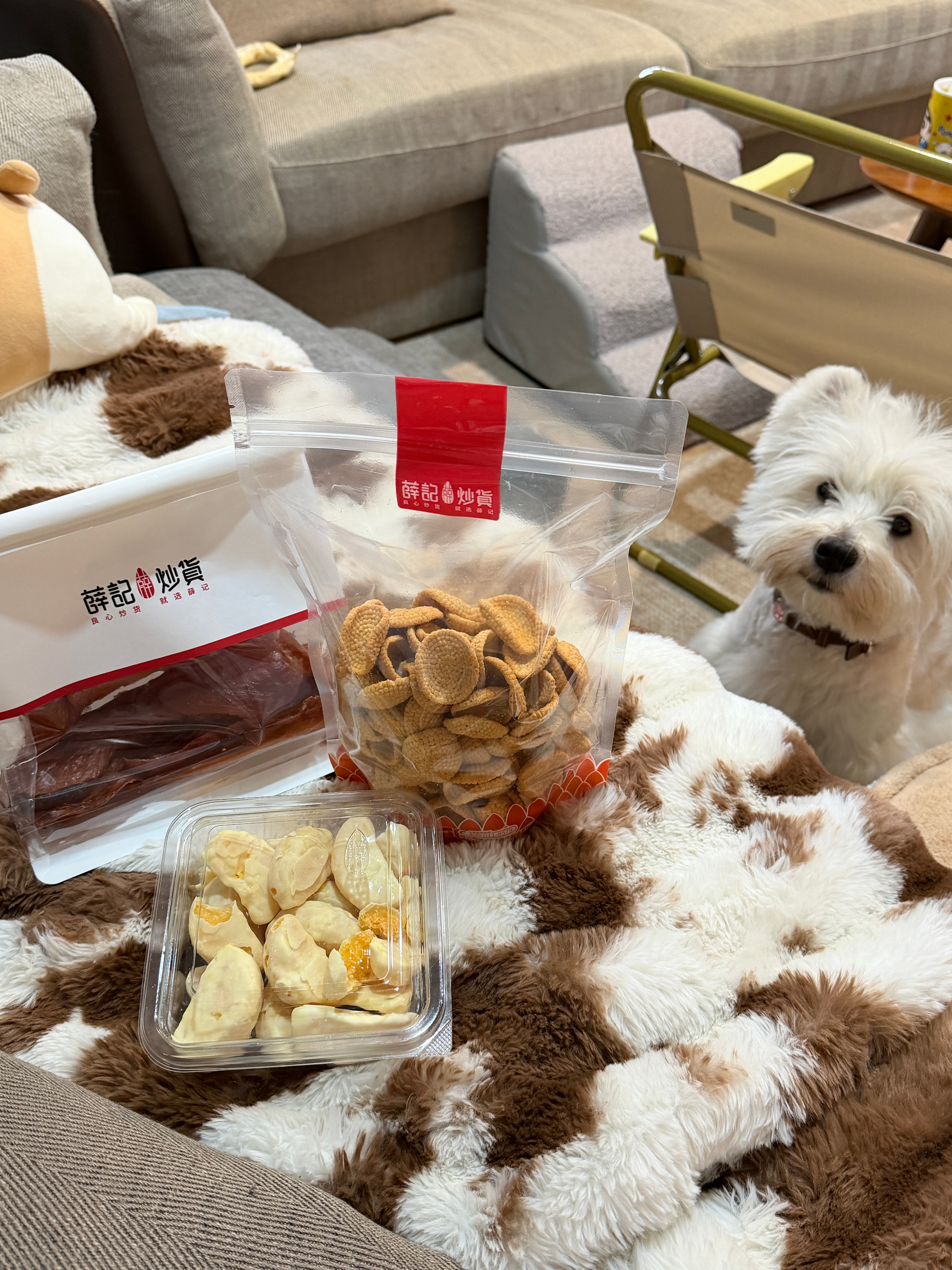 比我坏的没我可爱，比我可爱的没我坏 