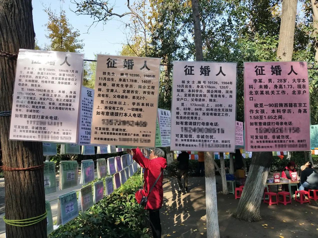 在父母把照片挂到公园相亲角之前，不如自己先把照片挂到网上。被看不看得上不重要，关