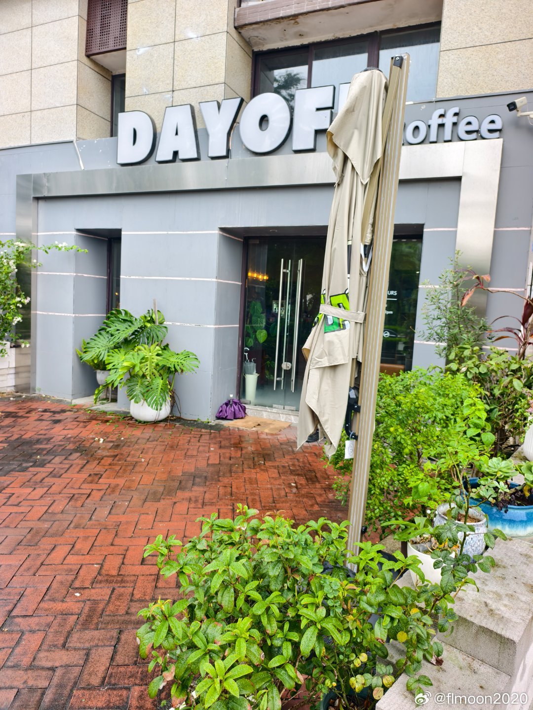 美食中山 港口新能源车市越聚越大，啡市也越来越高水平✔  ​​​