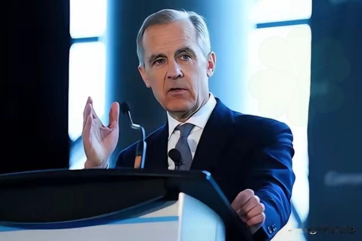 今天饭局，一个在达沃斯内的朋友透了个风：加拿大总理卡尼那场反美演讲，台下全体起立