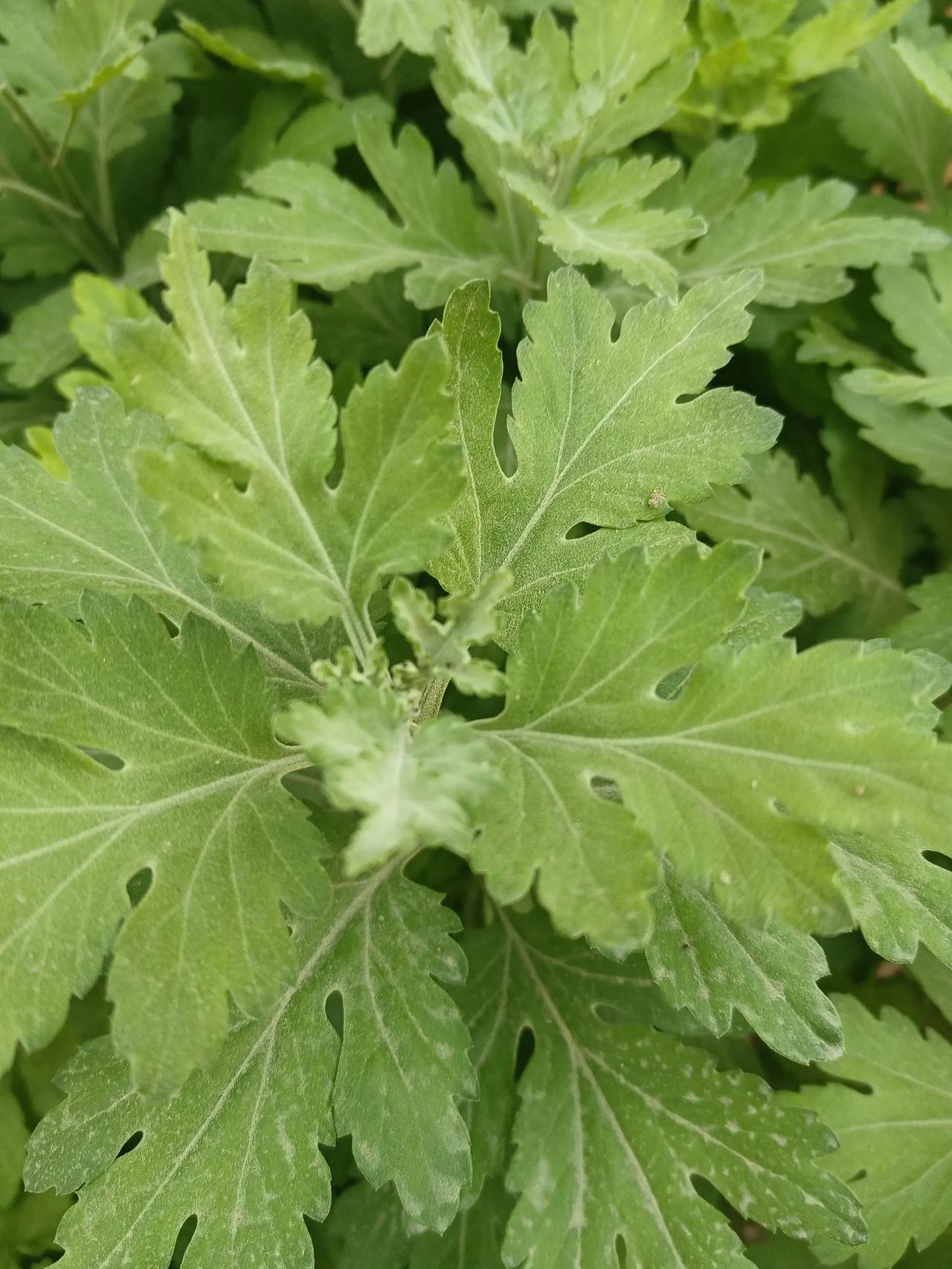 46岁，人到中年，尽量不要让人知道你的状态！
46岁，是人生中一道微妙的分水岭。