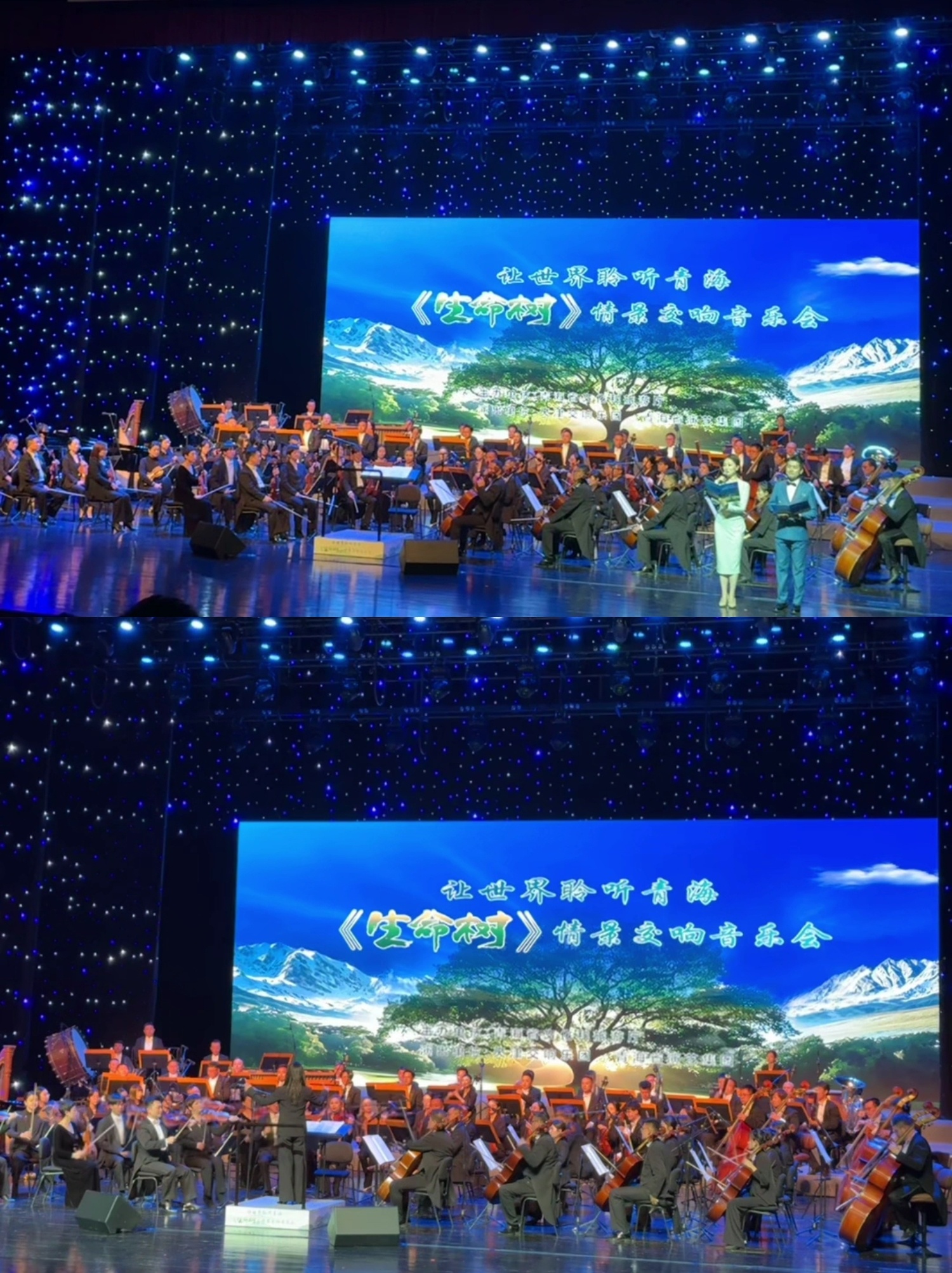 今晚在青海大剧院继续举行《生命树》情景交响音乐会！电视剧能做到这种程度 完爆今年