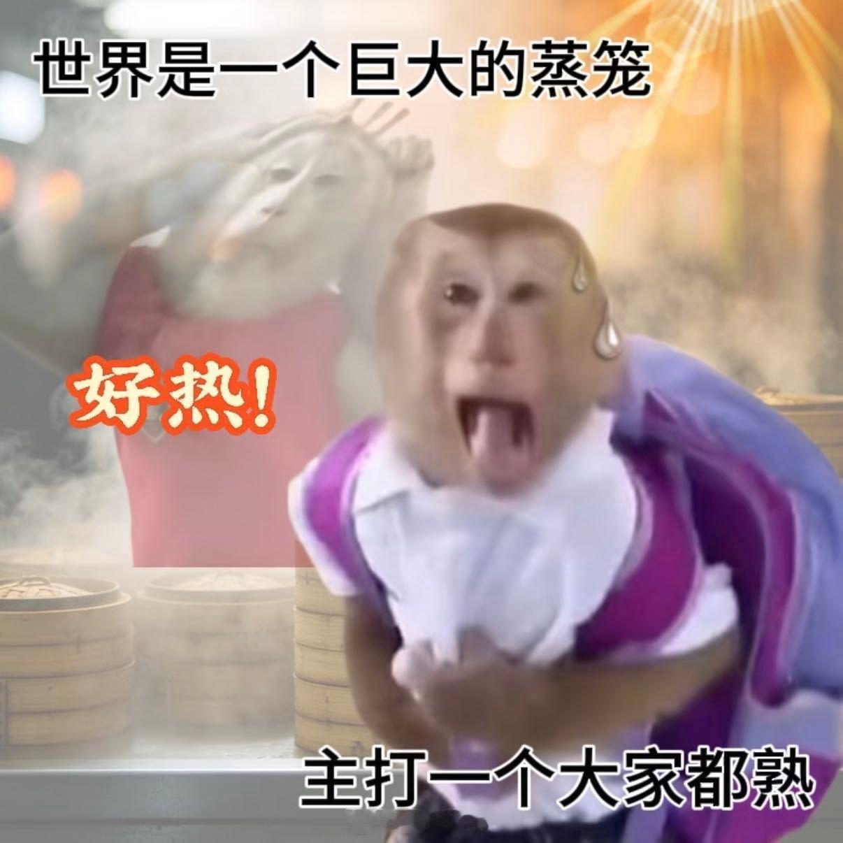 这届高温连龙王都顶不住严重怀疑太上老君把炼丹炉打翻在了人间，电风扇吹出来的都是热