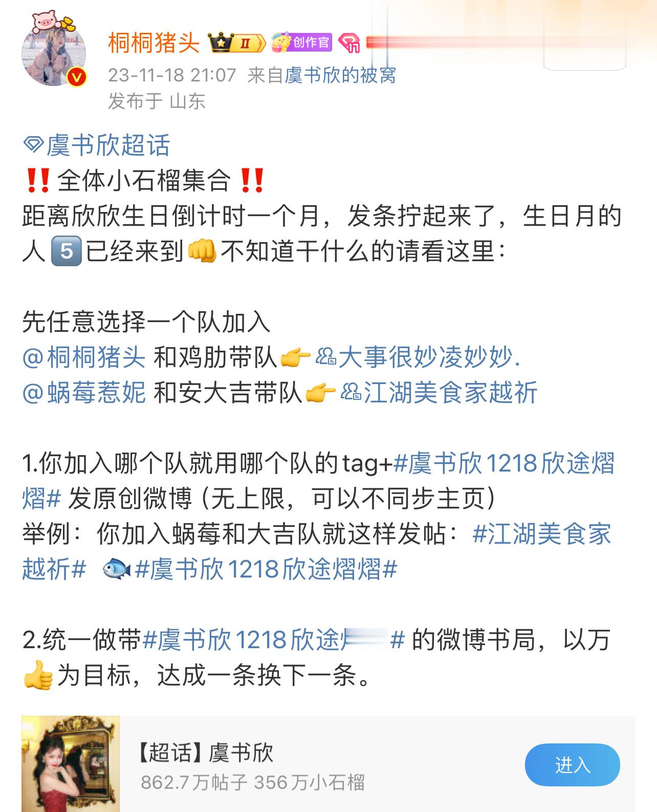 #虞书欣[超话]# 我来加码一块灯牌[耶] 是演唱会见过虞书欣的灯牌送给妙妙妈战