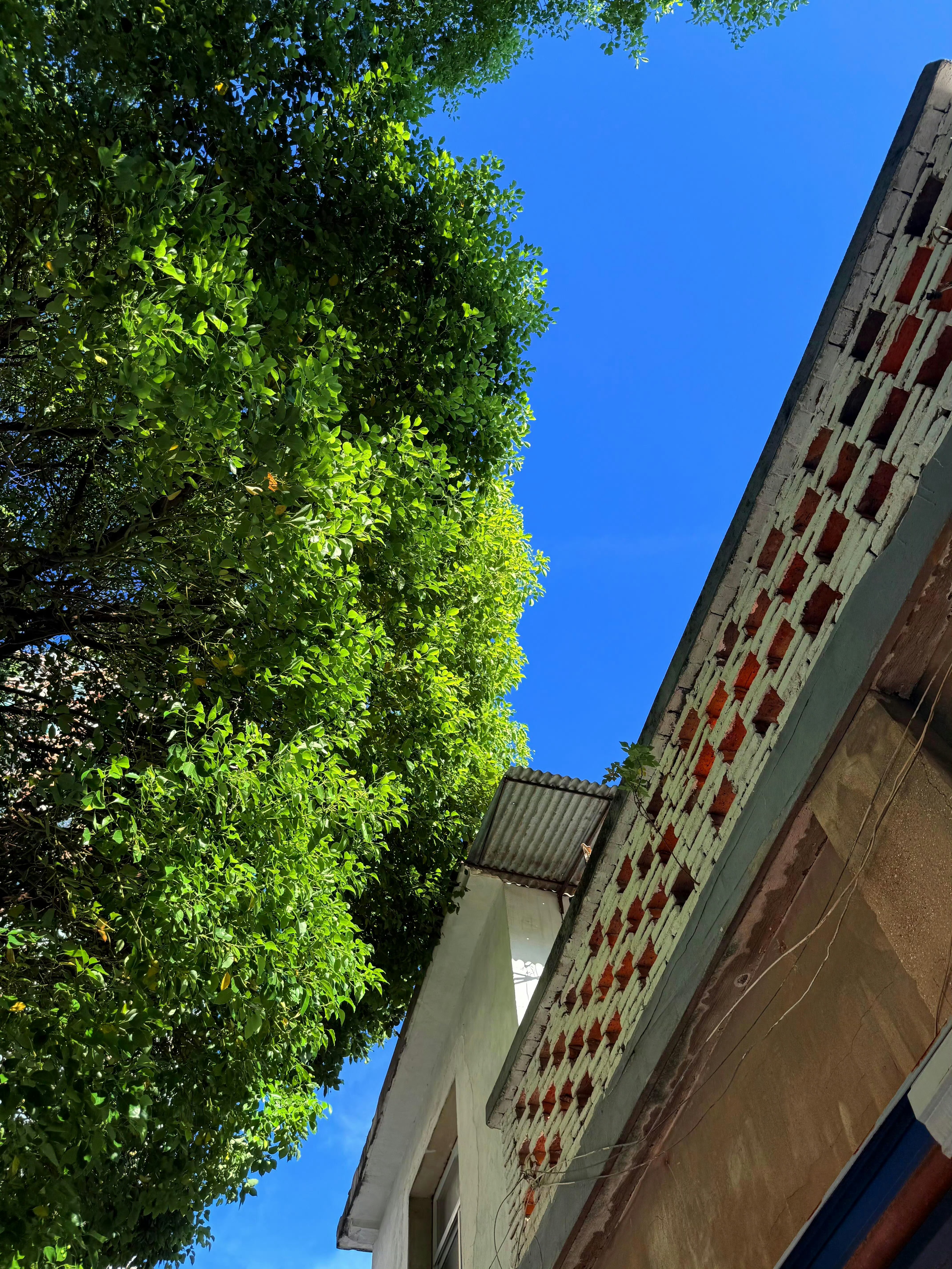 看到晴天，自杀的心都没了