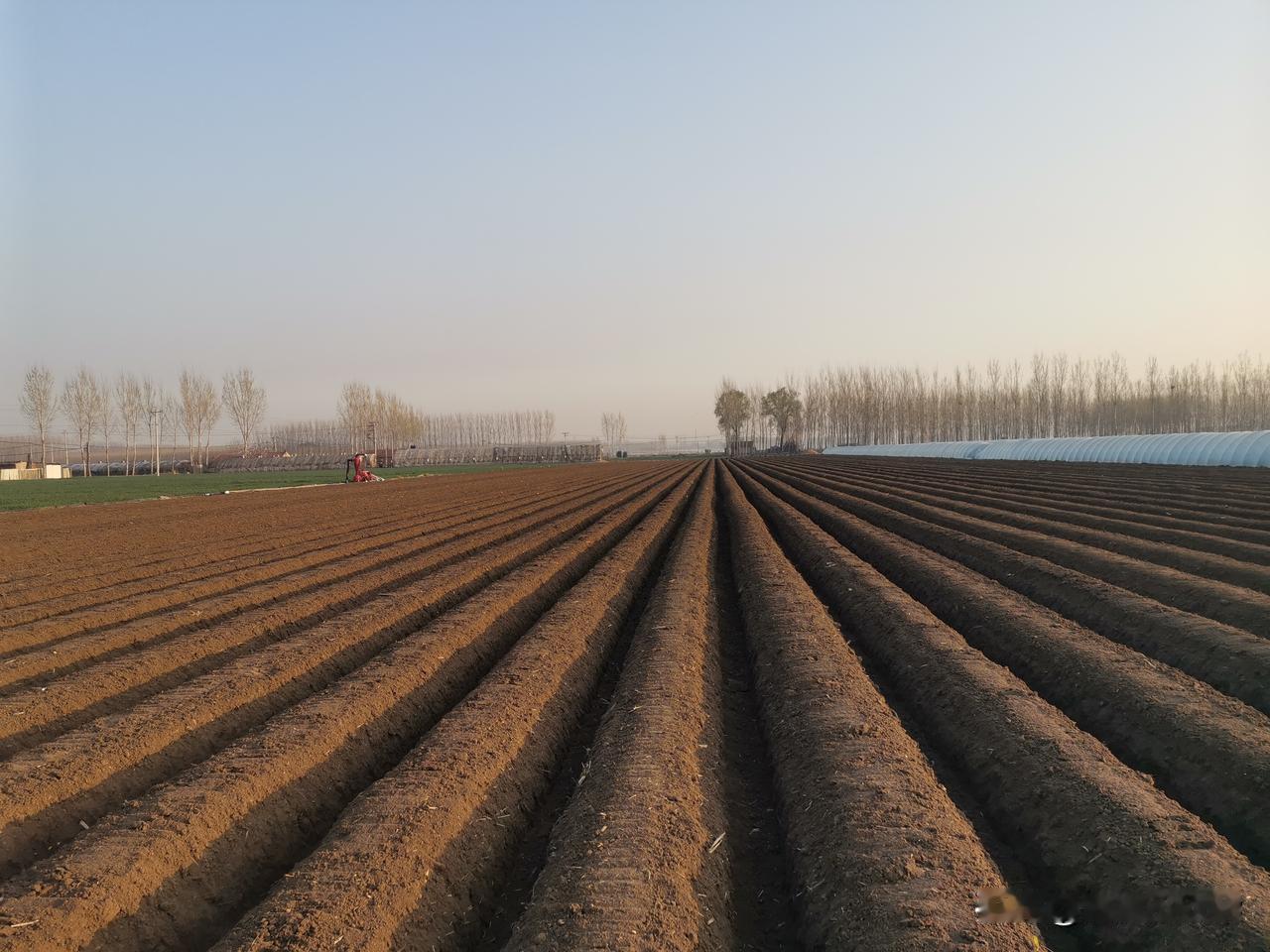 清晨，充满着希望；
田野，播种着收获。