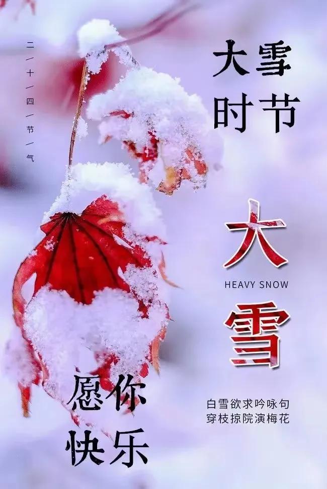 今日大雪了！
冬天的第三个节气大雪到了。大雪，顾名思义，北方此时的天气更冷，降雪