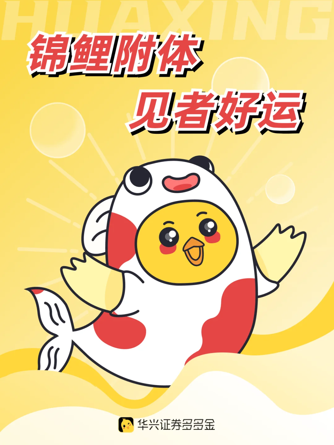 锦鲤附体，见者好运🍀