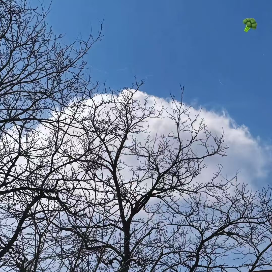 王源p的两朵云王源p的西兰花  哈哈哈哈我不行了小源 