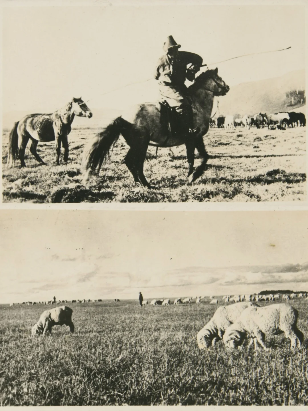 日人拍摄1936年内蒙古老照片 牧民生活实拍