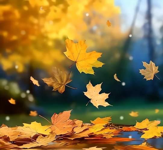 上联：东坡白杨逢秋雨
下联：西河朱枫遇寒冰