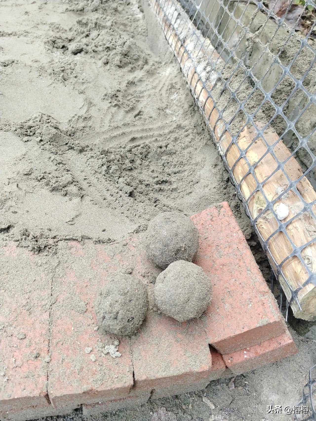 谁能想到，简简单单一堆沙土，就能让孩子玩得这么开心！
陪着小家伙在农场玩沙，自己