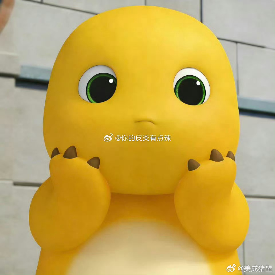 📣认养一只水原狐 敢惹奈斯活腻了是吧 热门全屠