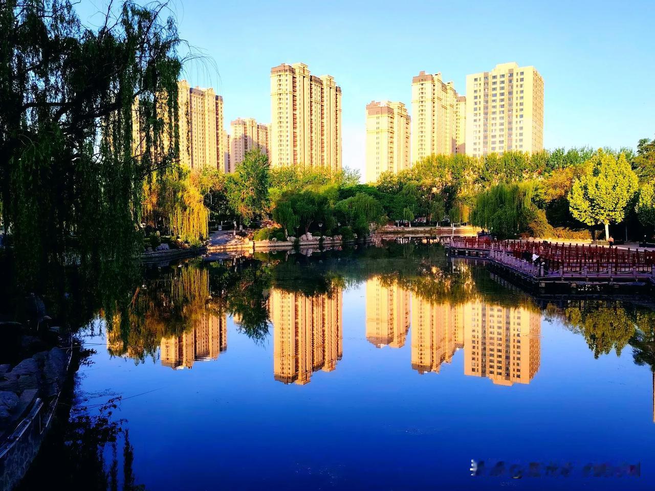 七绝 滏园晨光
 文/范光永
苦楝摇香紫蕊新，满园清气醉游人。
芳林翠绿晨光美，