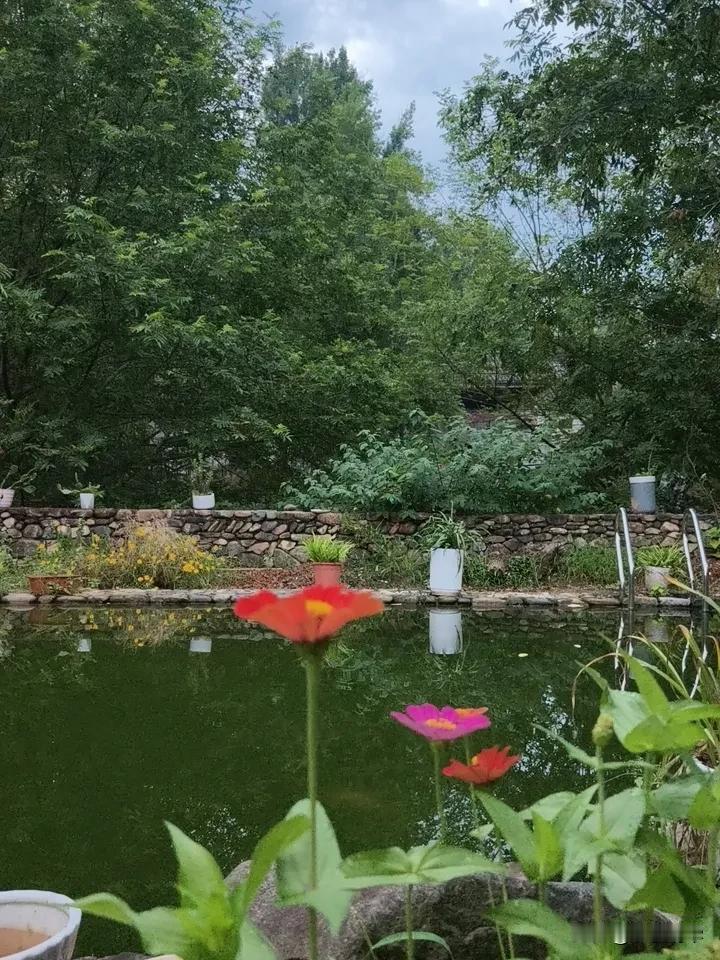 夏日生活打卡季，雨过天晴，又是一天太阳高照[太阳]