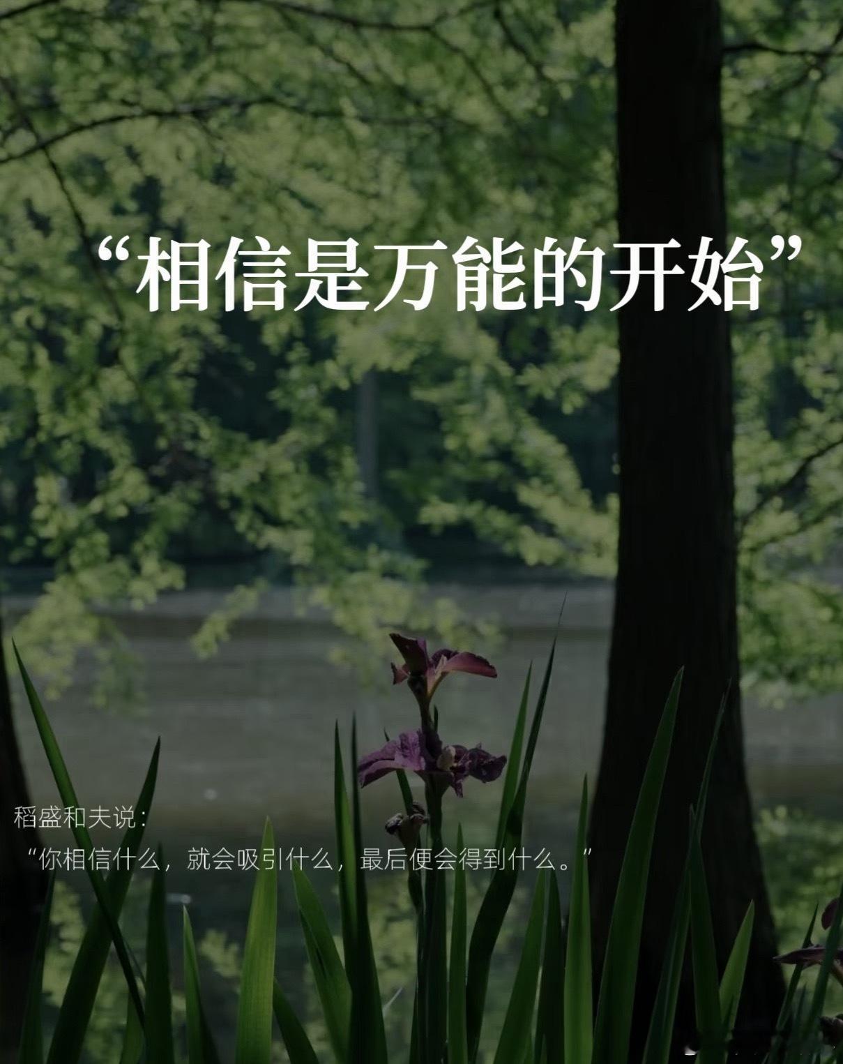真正给你撑腰的是银行的存款，知识的储备和做事的果断是心中那个打不败的自己!晚安，
