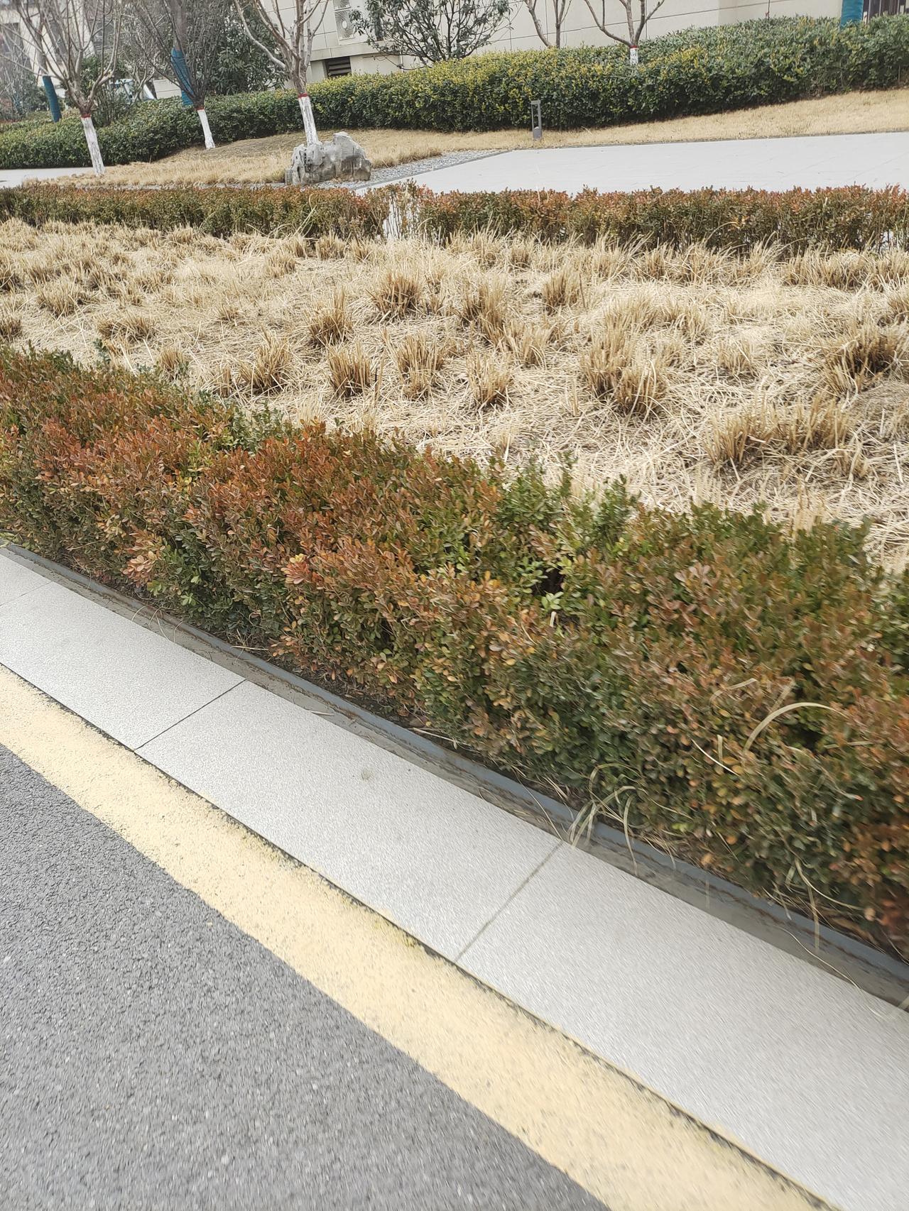 在二胎家庭里，老大和老二成绩的对比情况。
老大即便考得十分优异，家长总觉得还有提