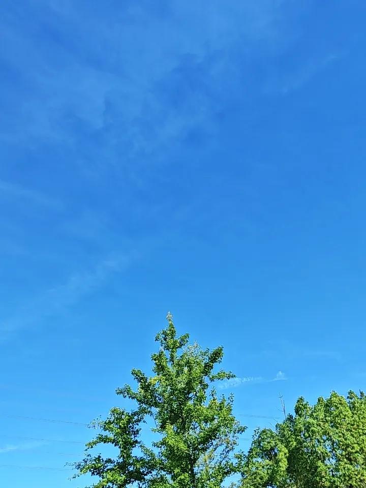 养生最大的“坑”，就是三伏天还在瞎折腾！

人一过四十，最怕什么？
怕气色垮、怕