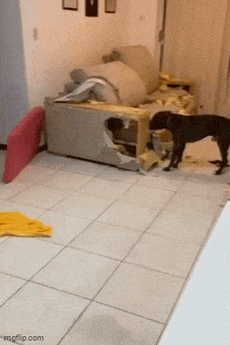 这怕不是痴呆症患者吧？